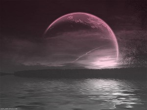 pinkmoon